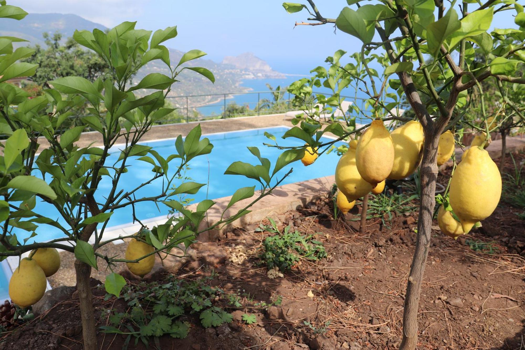 Cefalu Nest Pool House Terrace Sea View Exterior foto